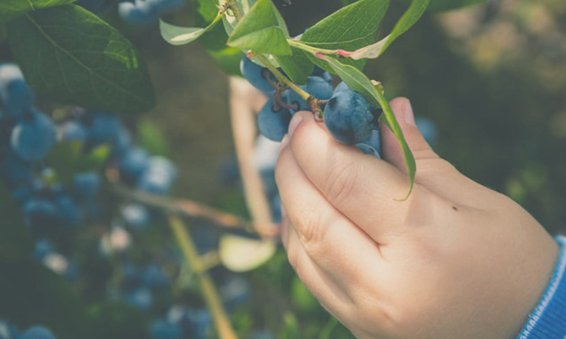 8 activités pour développer la motricité fine de votre enfant !
