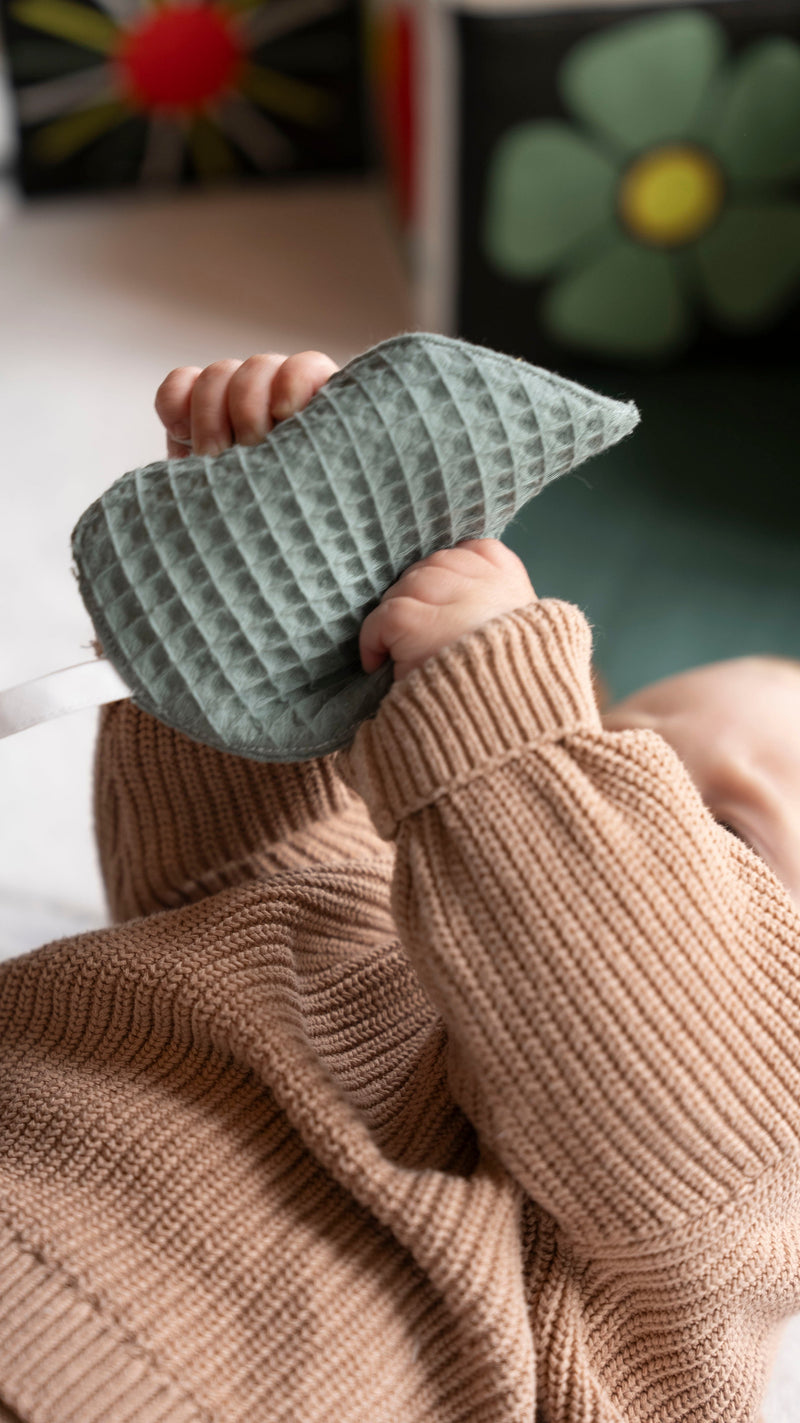 feuilles sensorielles la nature des petits