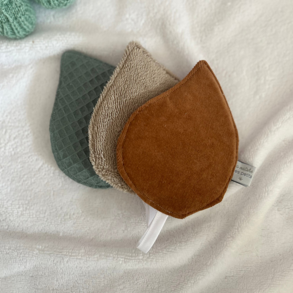 Feuilles sensorielles