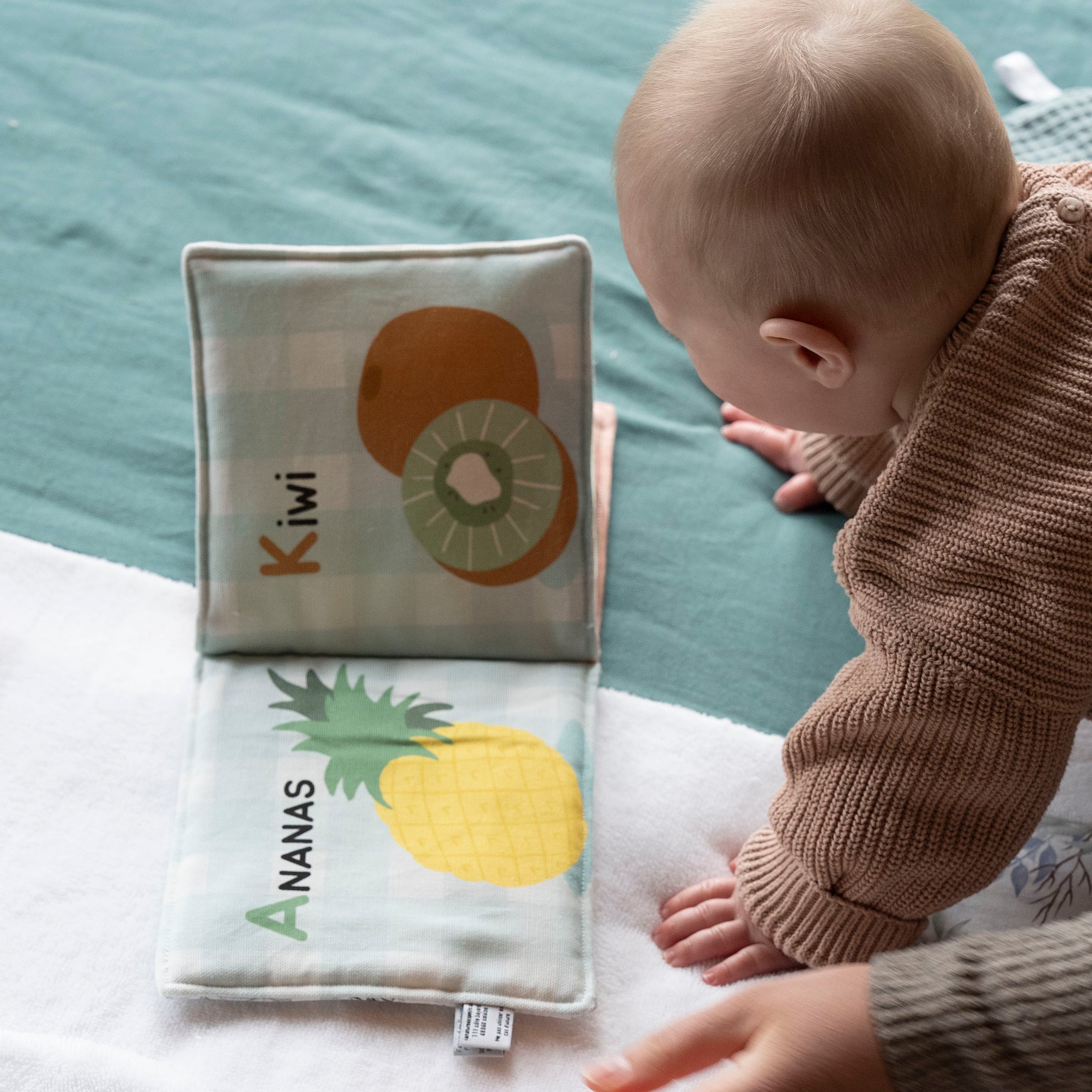 Livre d’éveil – Fruits