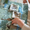 loto jungle la nature des petits